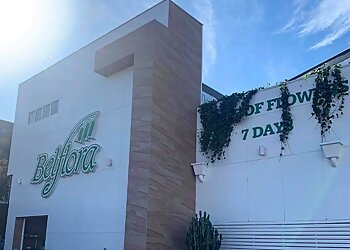 Belflora Flower Market