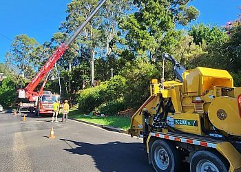 Ben Hastings Tree Service