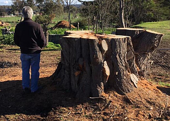 Bendigo Stump Grinding
