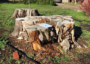 Bendigo Stump Grinding