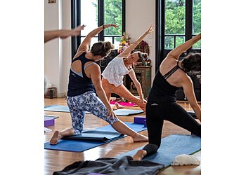 Berry Yoga Shala with Roaming Yogis