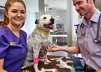 Better Pet Vets