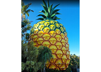 The Big Pineapple