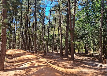 Ballarat Hiking Trails Black Hill Reserve image 1