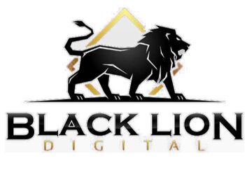 Newcastle Web Designers Black Lion Digital image 1