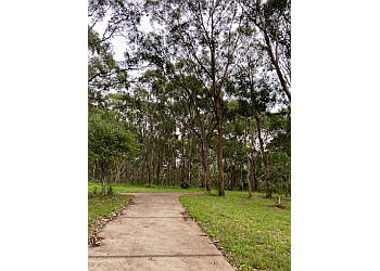 Blackbutt Forest Reserve