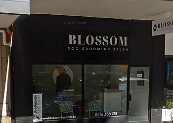 Newcastle Dog Grooming Blossom Dog Grooming Salon image 1