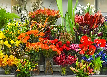 Blossoms Of Tweed Banora