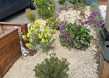 Blue Lotus Landscaping and Garden Services