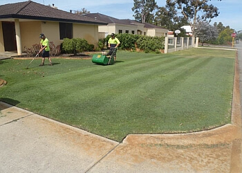 Bluegrass Lawnmowing
