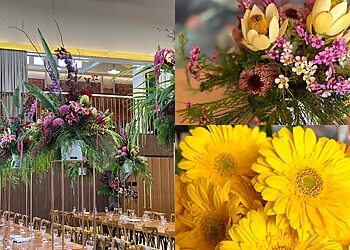 Blume by Colin Straub