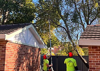 Bob and Ben the Tree Men