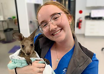 Bomaderry Veterinary Hospital