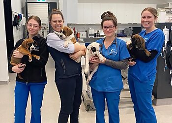 Bomaderry Veterinary Hospital