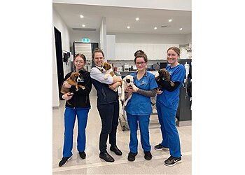 Bomaderry Veterinary Hospital