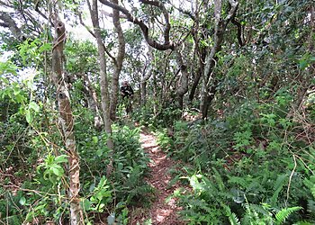 Bongil Bongil National Park