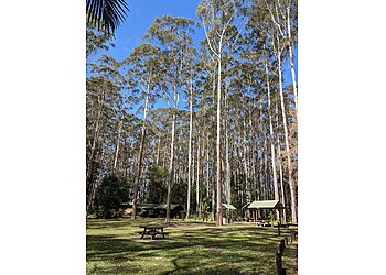 Bongil Bongil National Park