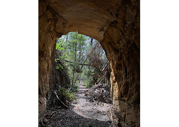 Box Vale Walking Track