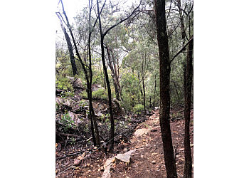 Box Vale Walking Track