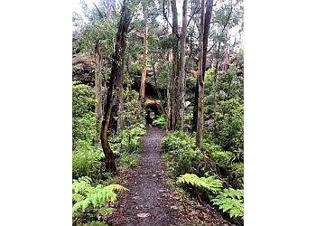 Box Vale Walking Track Box Vale Walking Track
