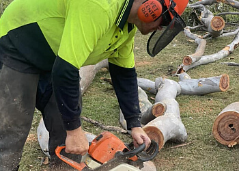 Boyne Island Tree Services