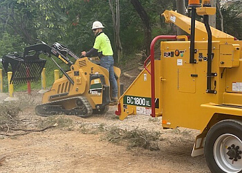 Boyne Island Tree Services