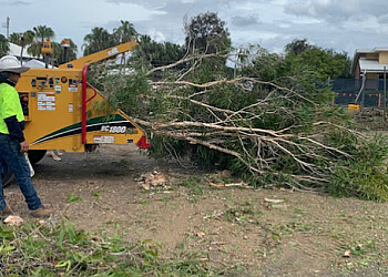 Boyne Island Tree Services