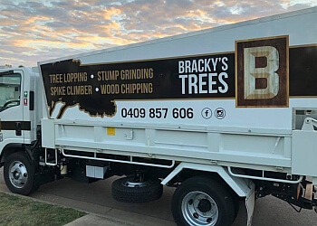 Bracky's Trees
