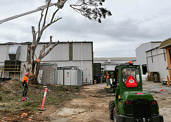 Bradsworth Tree Services & Contracting