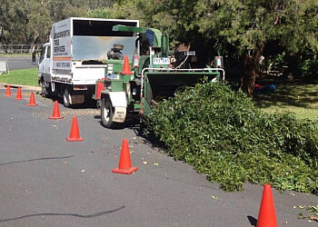 Bradsworth Tree Services & Contracting