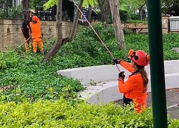 Branch Management Tree Services