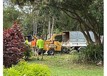 Branching Out Tree Specialists