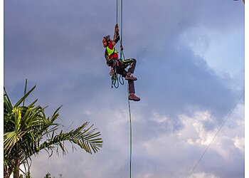 Branching Out Tree Specialists