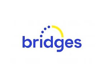 Bridges Financial Services Pty Limited