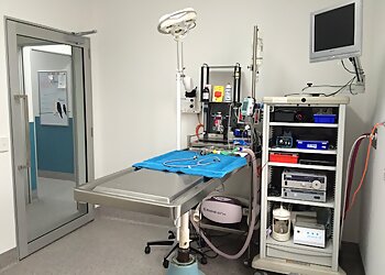 Brisbane Bird & Exotics Veterinary Service