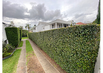 Brisbane Lawn & Landscaping Experts