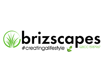 Brizscapes