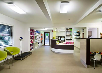 Buderim Veterinary Surgery