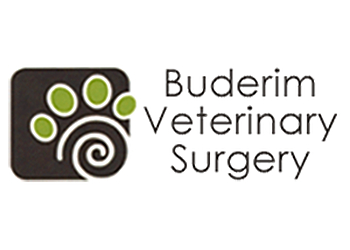 Buderim Veterinary Surgery