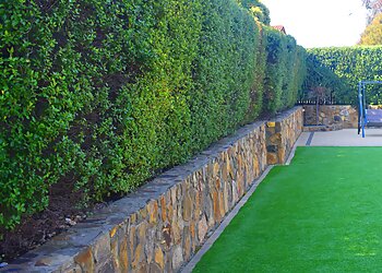 Budget Garden Care ACT