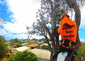 Budget Tree Service