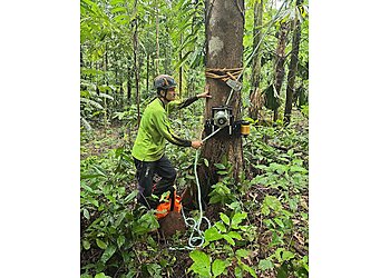 3 Best Tree Services in Cairns - Expert Recommendations