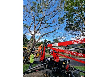 Bumble Bee Tree Services