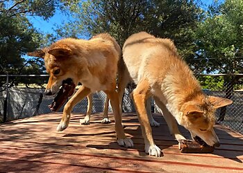 Bunbury Wildlife Park