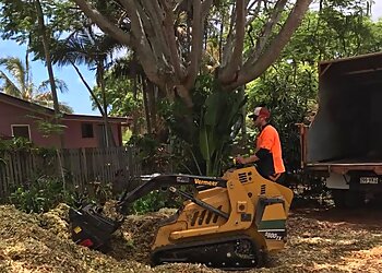 Bundy & Bargara Tree Service