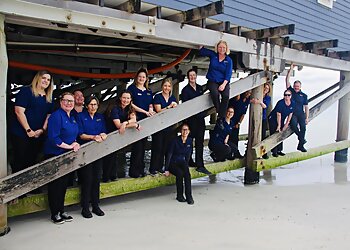 Busselton Vet Hospital