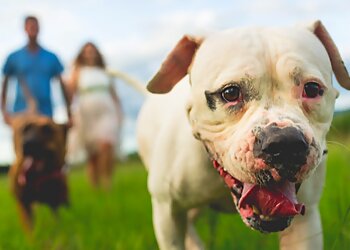 By Heart Photography