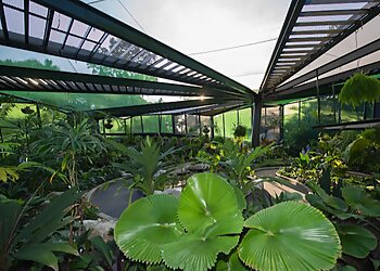 Cairns Botanic Gardens