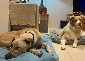 Cairns Canine & Cat Care