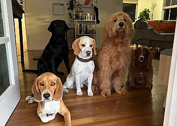 Cairns Pet Sitting-Little Paws by Arisa